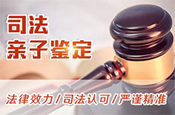 天津司法亲子鉴定要如何办理，天津专业司法DNA亲子鉴定机构
