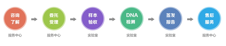 天津隐私亲子鉴定流程